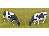 AT-Collections |   | AT3200503 | 1/0 | Holstein-Friesian Cattle Set of 4 cows. | 