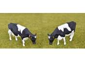 AT-Collections |   | AT3200503 | 1/0 | Holstein-Friesian Cattle Set of 4 cows. | 